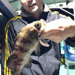 ヤザワ渡船 釣果