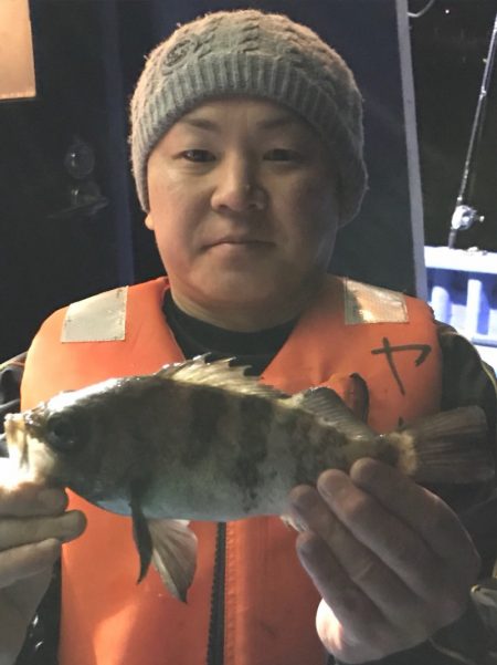 ヤザワ渡船 釣果