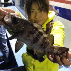 ヤザワ渡船 釣果
