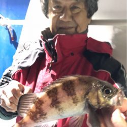 ヤザワ渡船 釣果