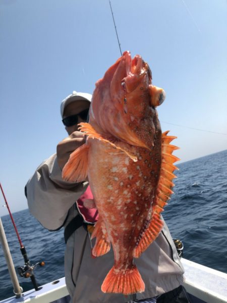 新幸丸 釣果