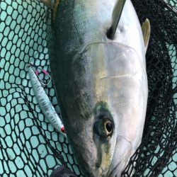 和栄丸 釣果