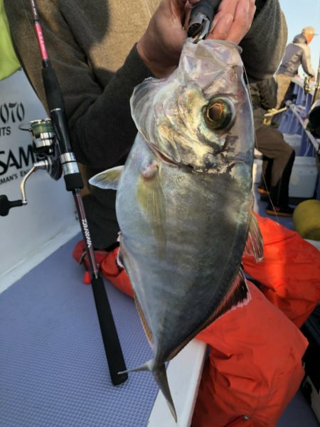 新幸丸 釣果