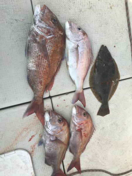 遊漁船メテオ 釣果