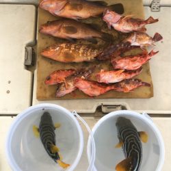 末広丸(熊本) 釣果