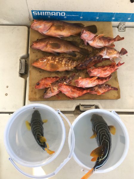 末広丸(熊本) 釣果