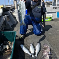 シーランチ 釣果