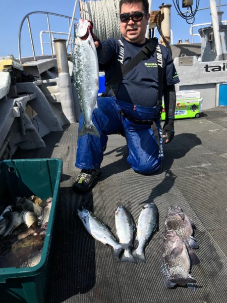 シーランチ 釣果