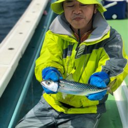 丸万釣船 釣果