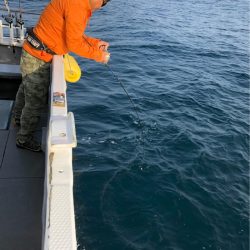 ＴＡＲＯＭＡＲＵ 釣果