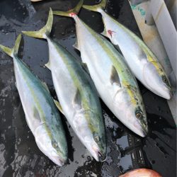 ＴＡＲＯＭＡＲＵ 釣果