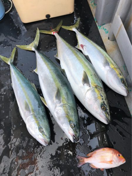 ＴＡＲＯＭＡＲＵ 釣果