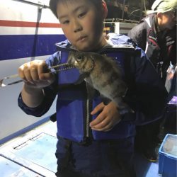 ヤザワ渡船 釣果