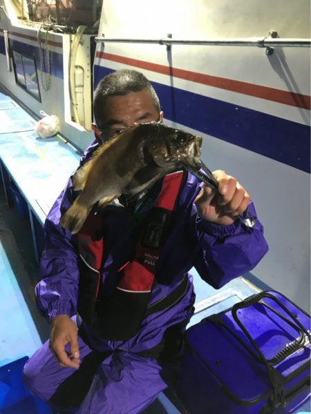 ヤザワ渡船 釣果