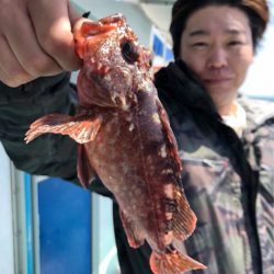 ヤザワ渡船 釣果