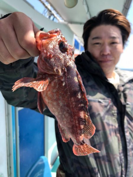 ヤザワ渡船 釣果