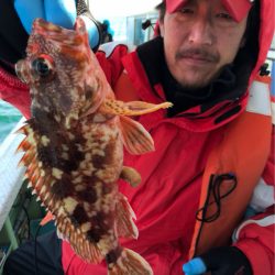 ヤザワ渡船 釣果