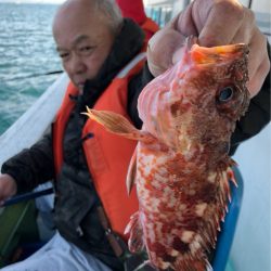 ヤザワ渡船 釣果