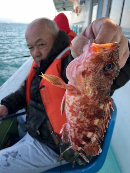 ヤザワ渡船 釣果