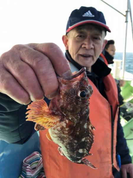 ヤザワ渡船 釣果