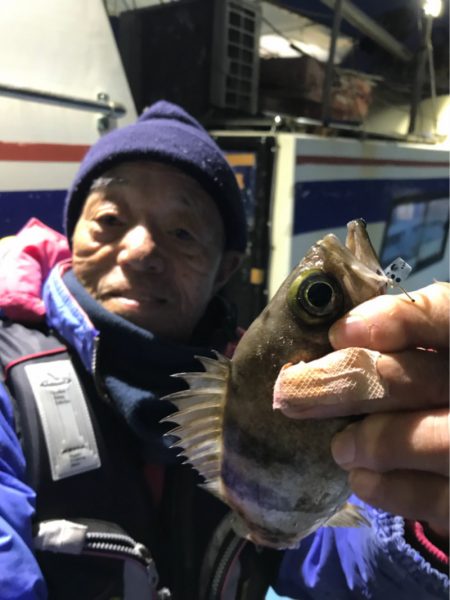 ヤザワ渡船 釣果