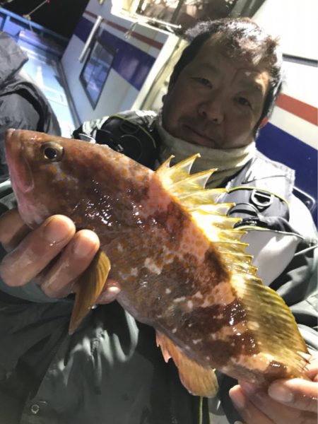 ヤザワ渡船 釣果