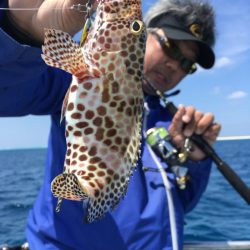 渡船屋たにぐち 釣果
