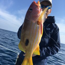 渡船屋たにぐち 釣果