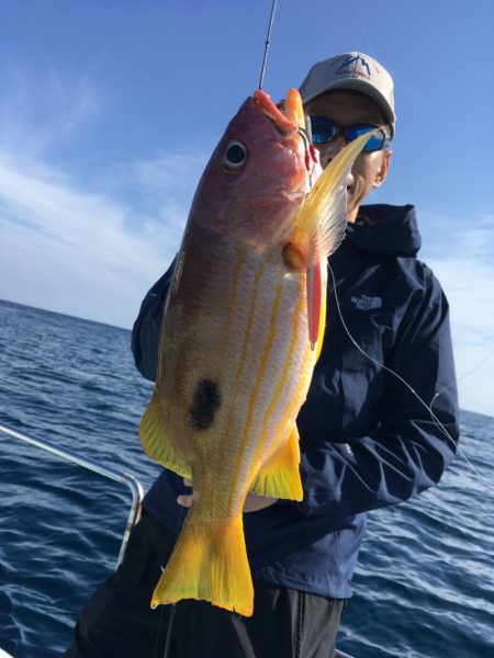 渡船屋たにぐち 釣果