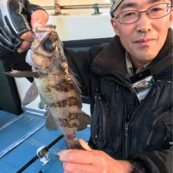 ヤザワ渡船 釣果