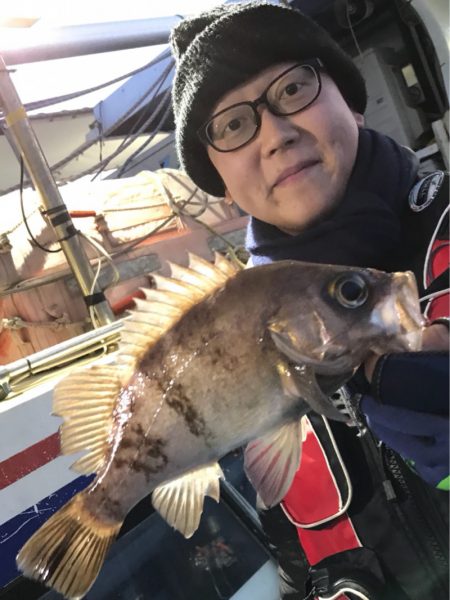 ヤザワ渡船 釣果