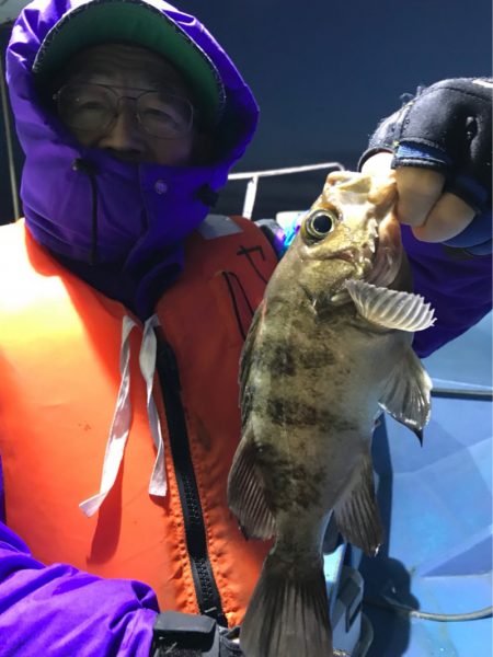 ヤザワ渡船 釣果