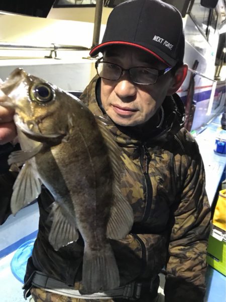 ヤザワ渡船 釣果