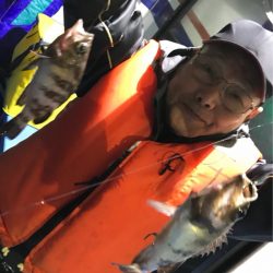 ヤザワ渡船 釣果