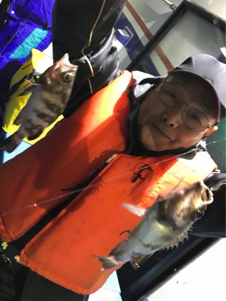 ヤザワ渡船 釣果