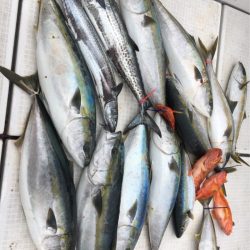 海楽隊 華栞丸 釣果