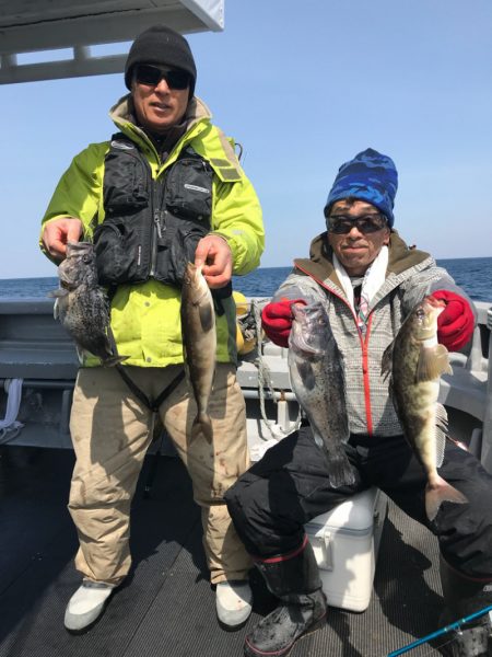 シーランチ 釣果