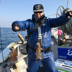 シーランチ 釣果