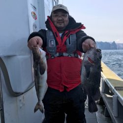 シーランチ 釣果