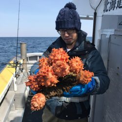 シーランチ 釣果