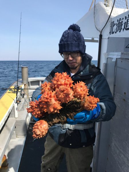 シーランチ 釣果