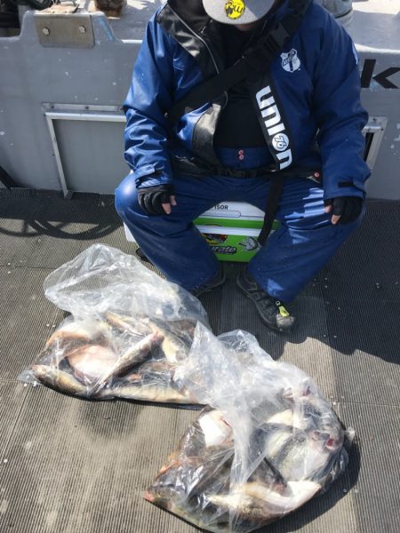 シーランチ 釣果