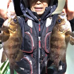 ヤザワ渡船 釣果