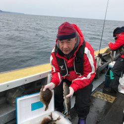 シーランチ 釣果