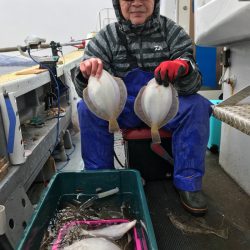 シーランチ 釣果