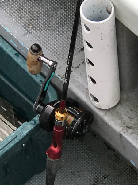 シーランチ 釣果