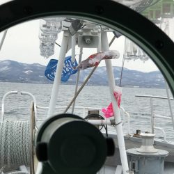 シーランチ 釣果