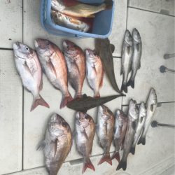 遊漁船メテオ 釣果