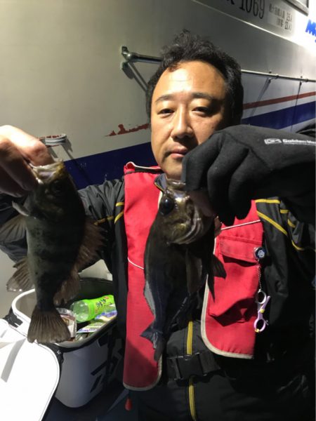 ヤザワ渡船 釣果