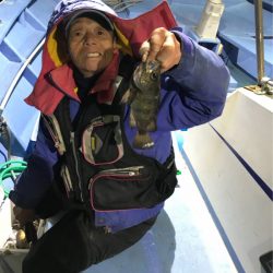 ヤザワ渡船 釣果